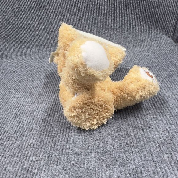 Baby GUND Peek A Boo Brown Teddy Bear 11” Plush Animated Stuffed Animal Toy - Picture 10 of 13